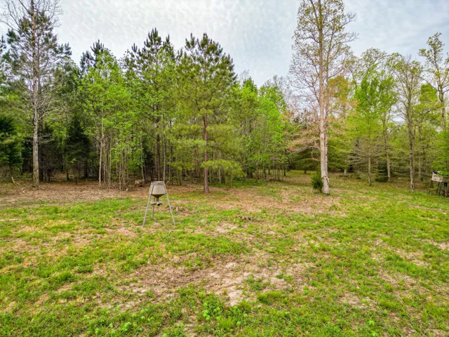 Feeder and Box Blind