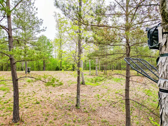 Long bluff with feeder in the distance