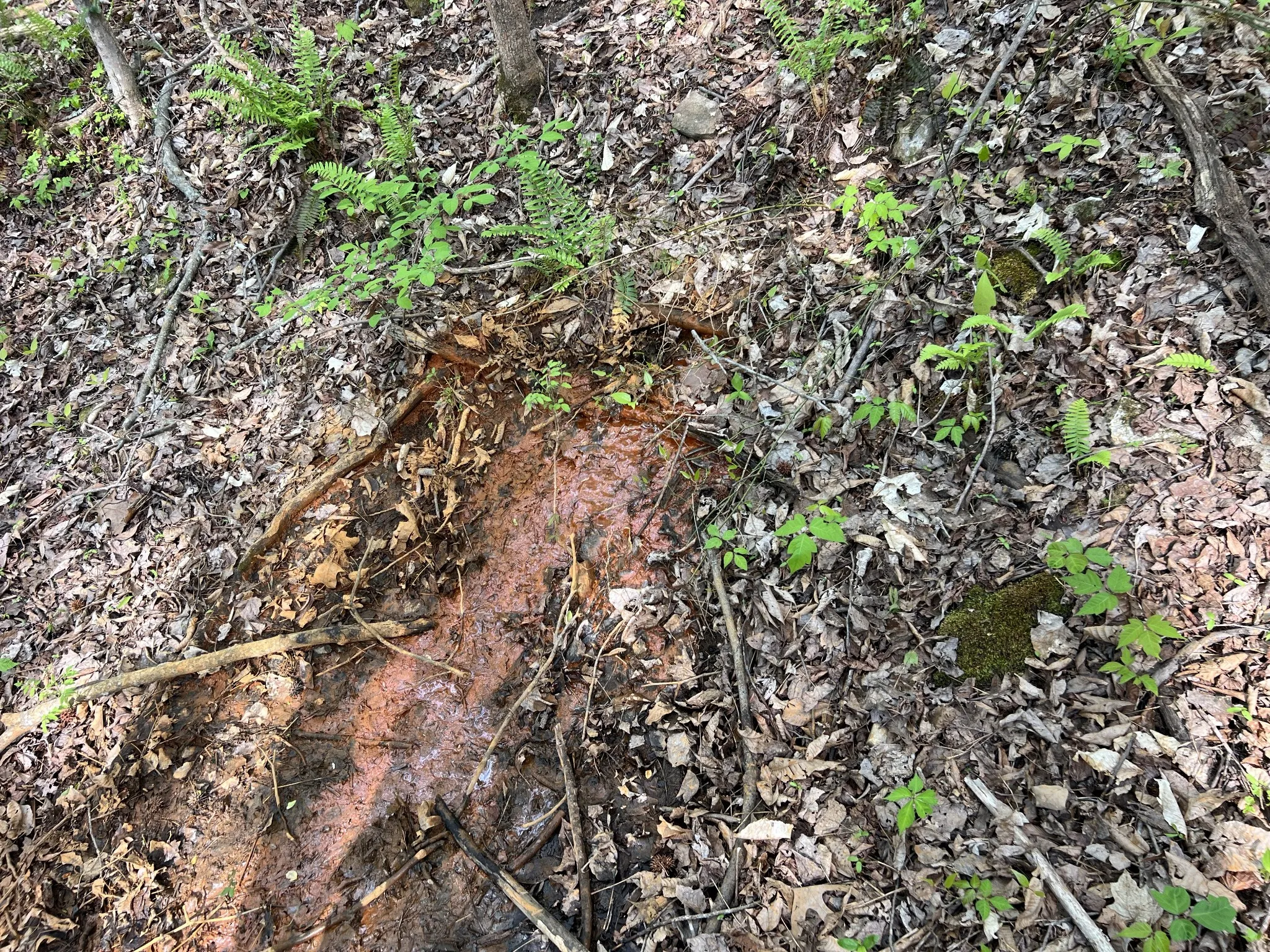 Natural Spring