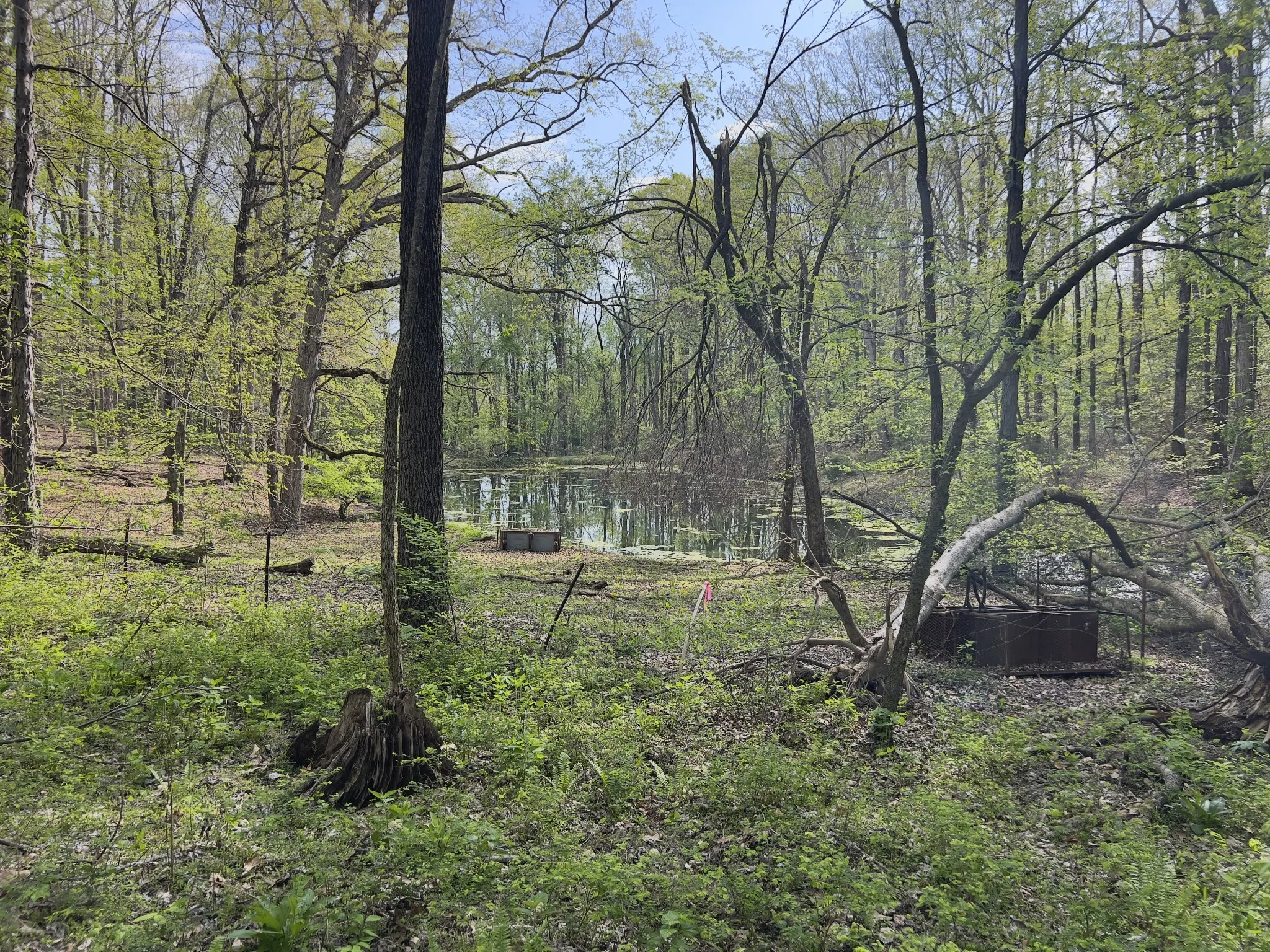 Neighboring Pond