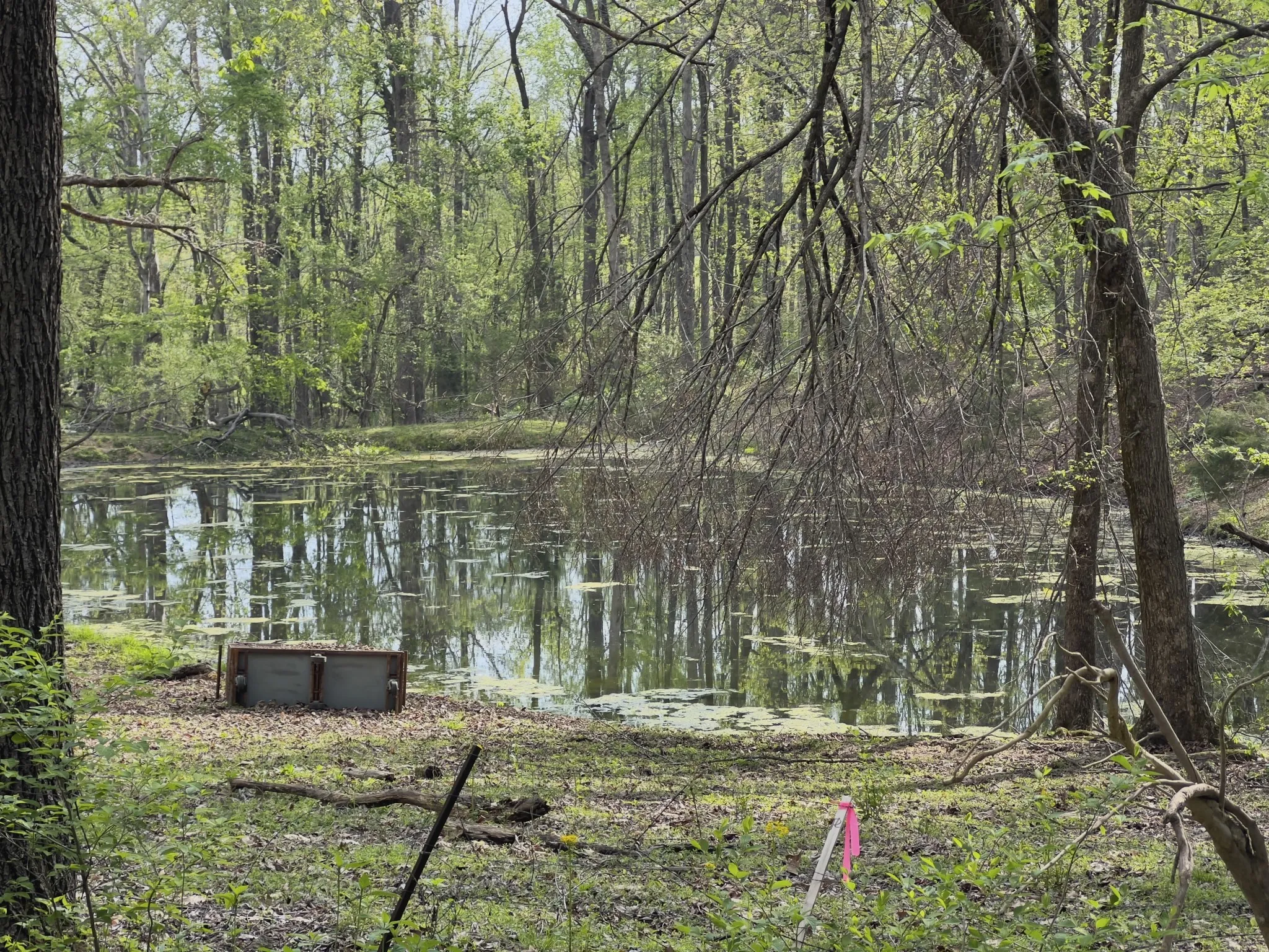 Neighboring Pond