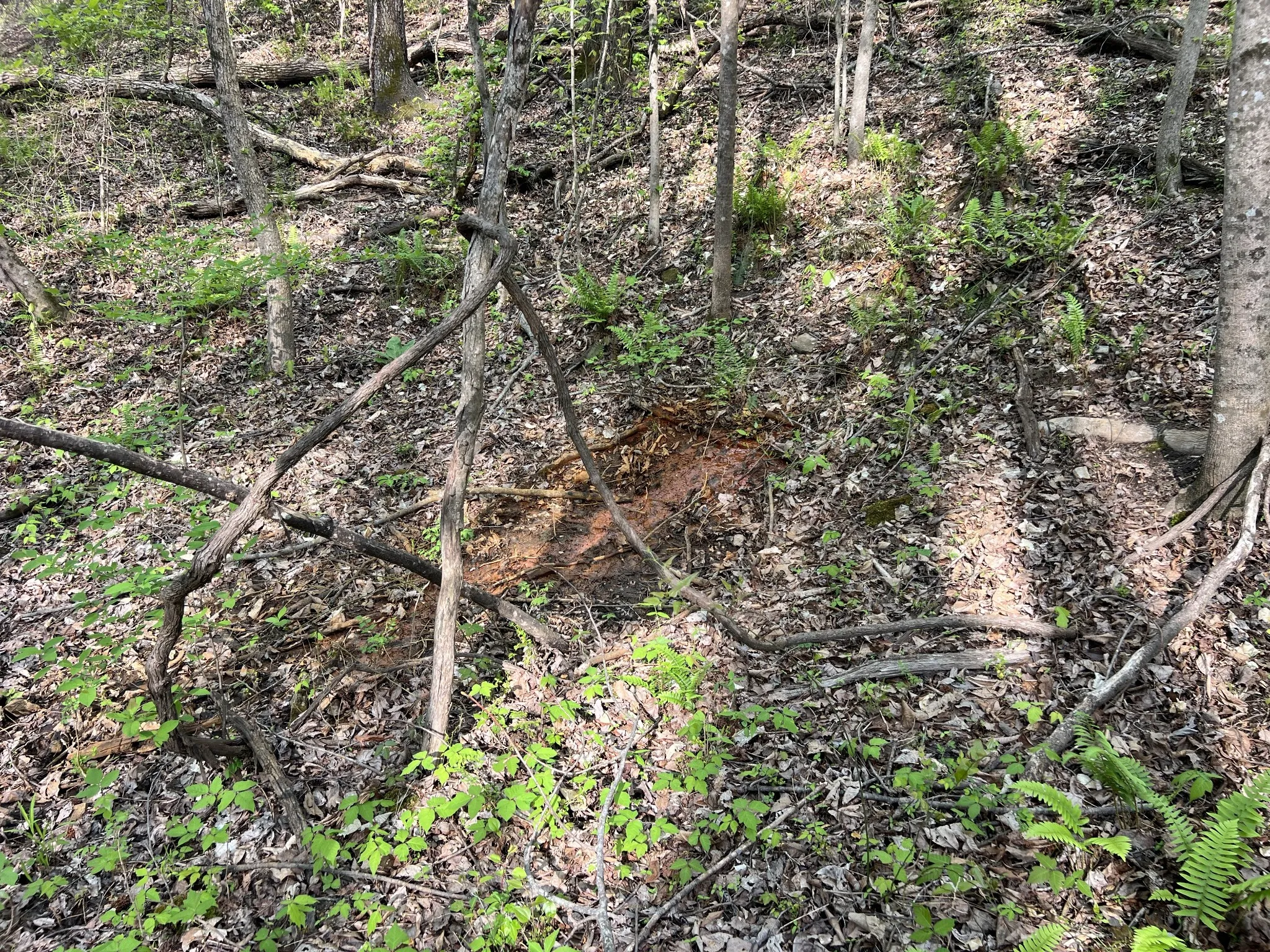 Natural Spring