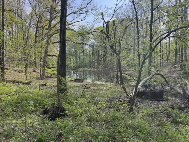 Neighboring Pond