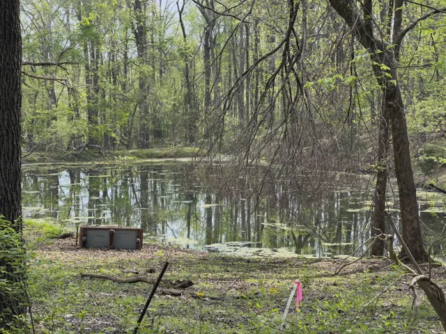 Neighboring Pond