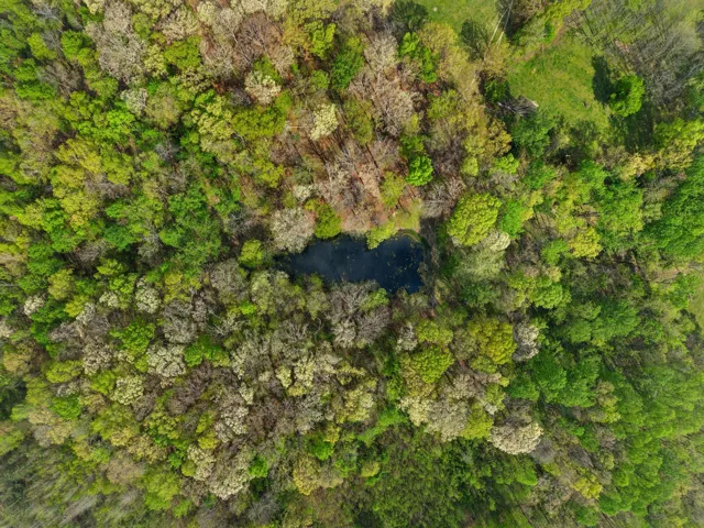Aerial Of Neighboring Pond