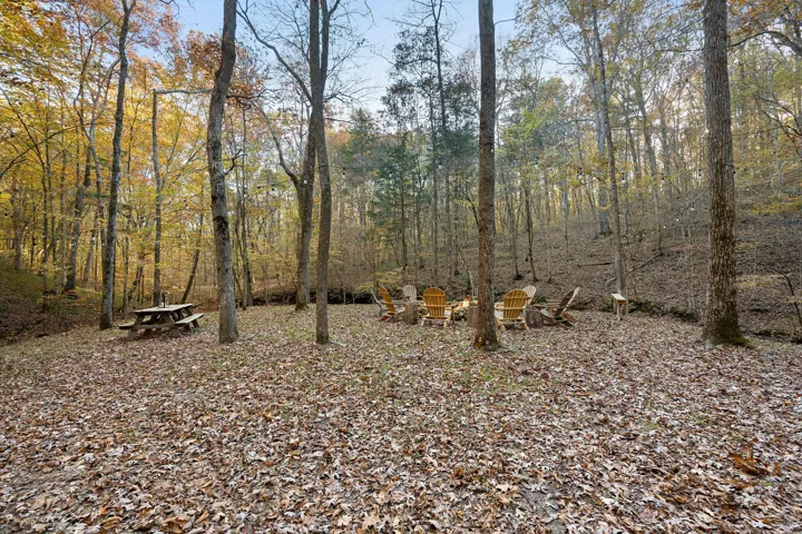 Fire Pit surrounded by two spring fed creeks