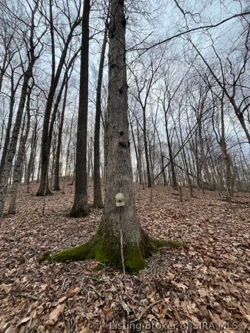 1170