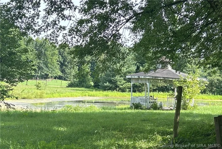Pond