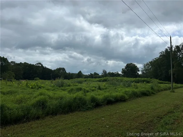 View from road