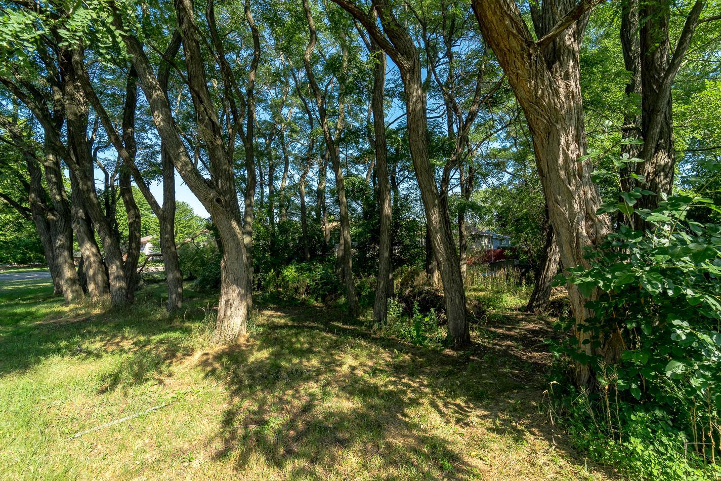 Photo 2 of Inver Grove Heights home