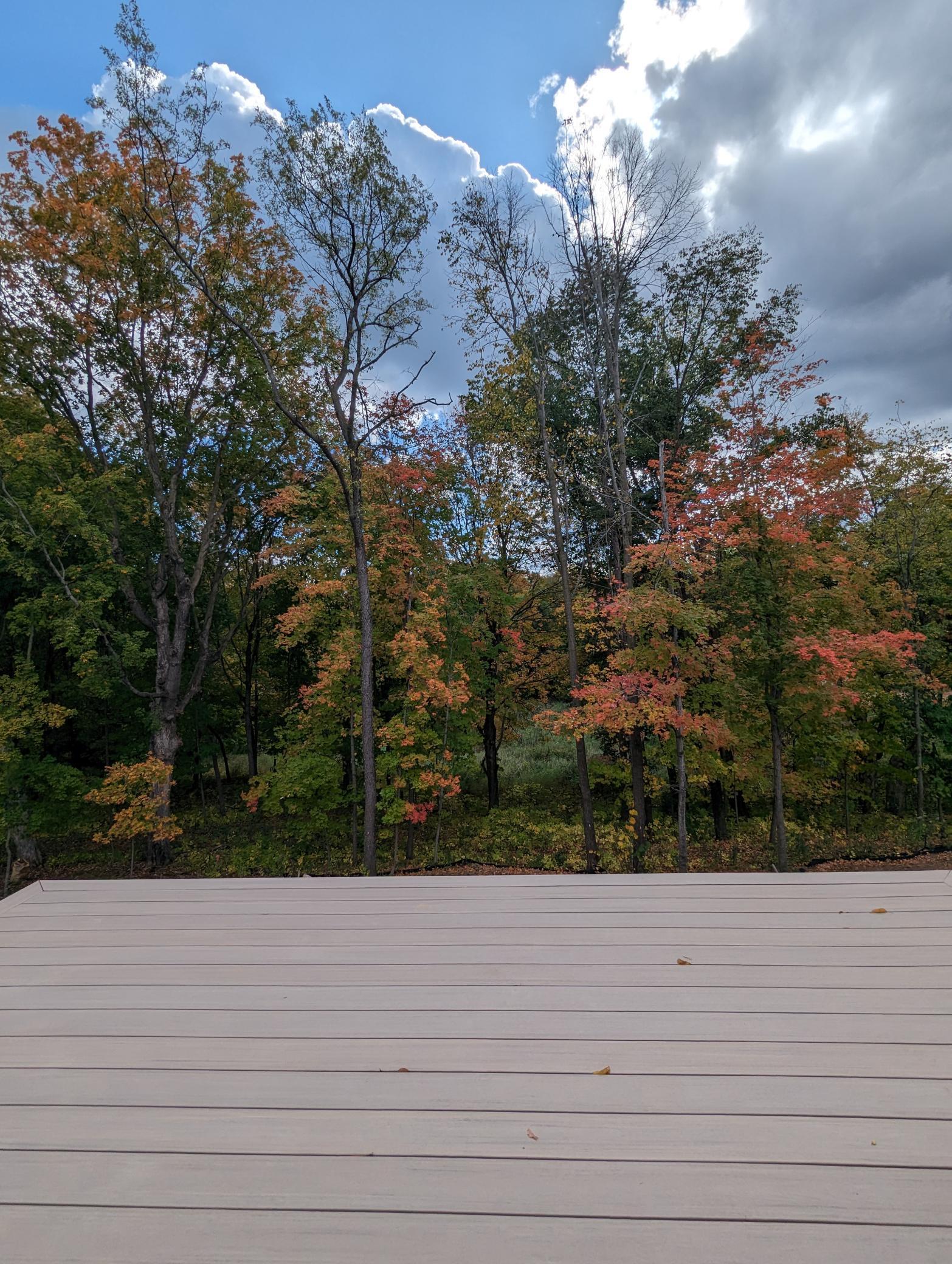 Photo 9 of Maple Grove home