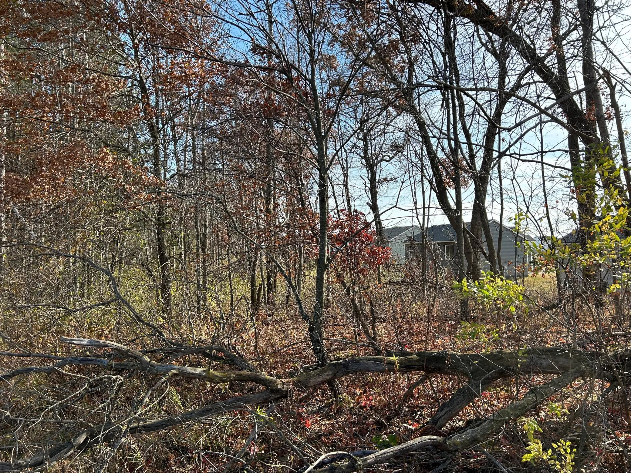 Photo 15 of 1888 80th Street