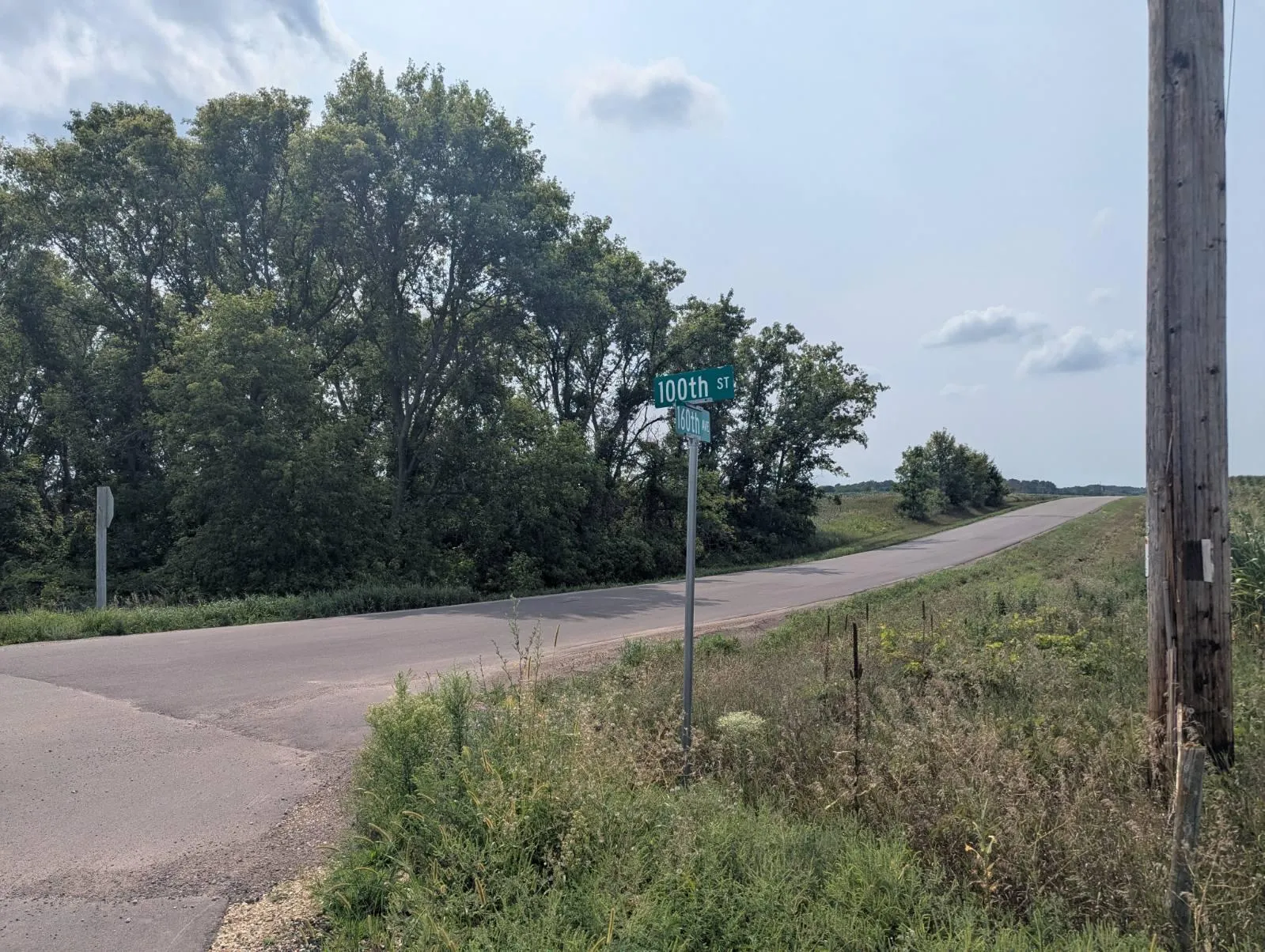 Photo 2 of Xxx 100th Street