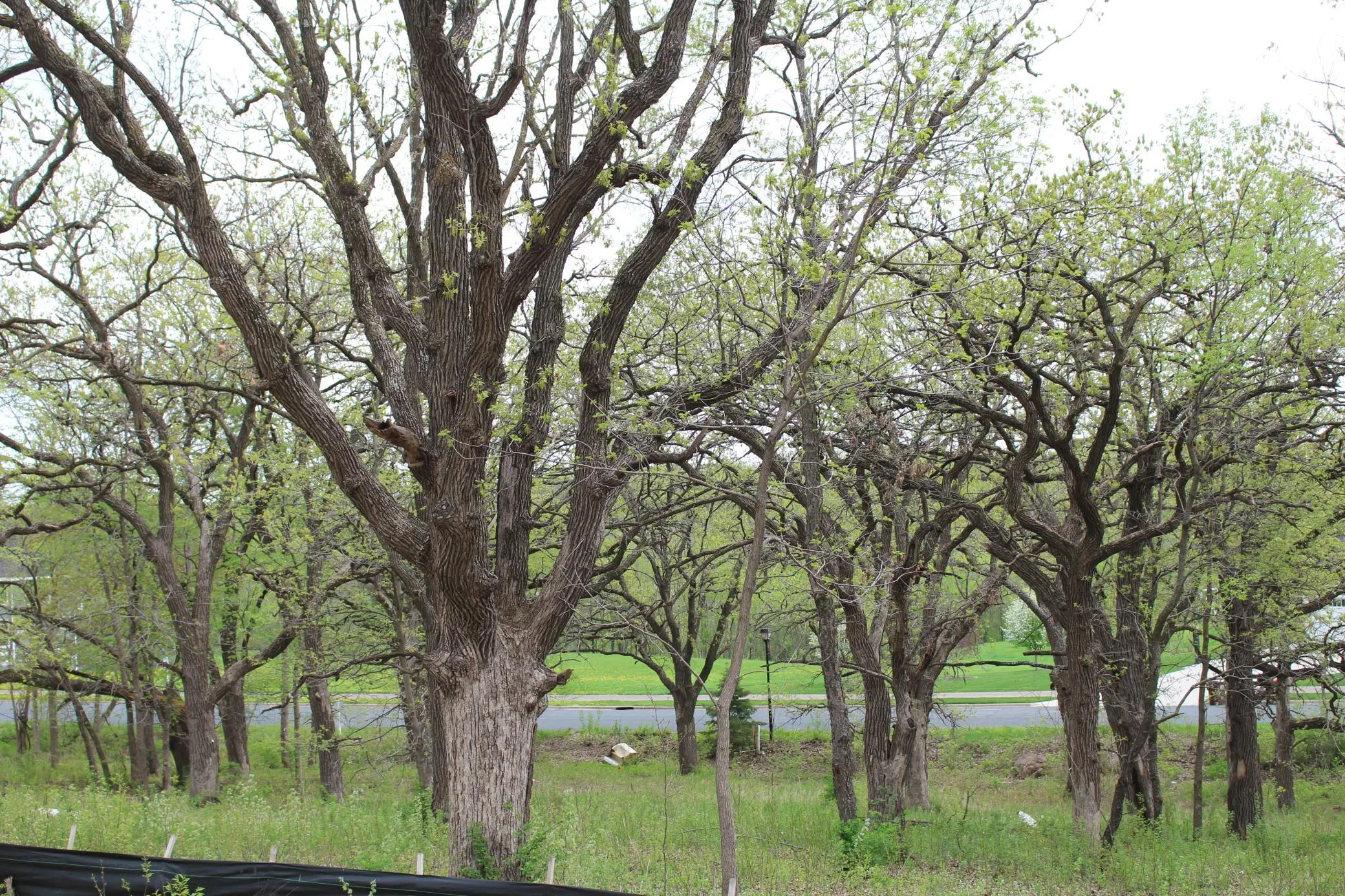 Photo 11 of 1730 River Shore Drive