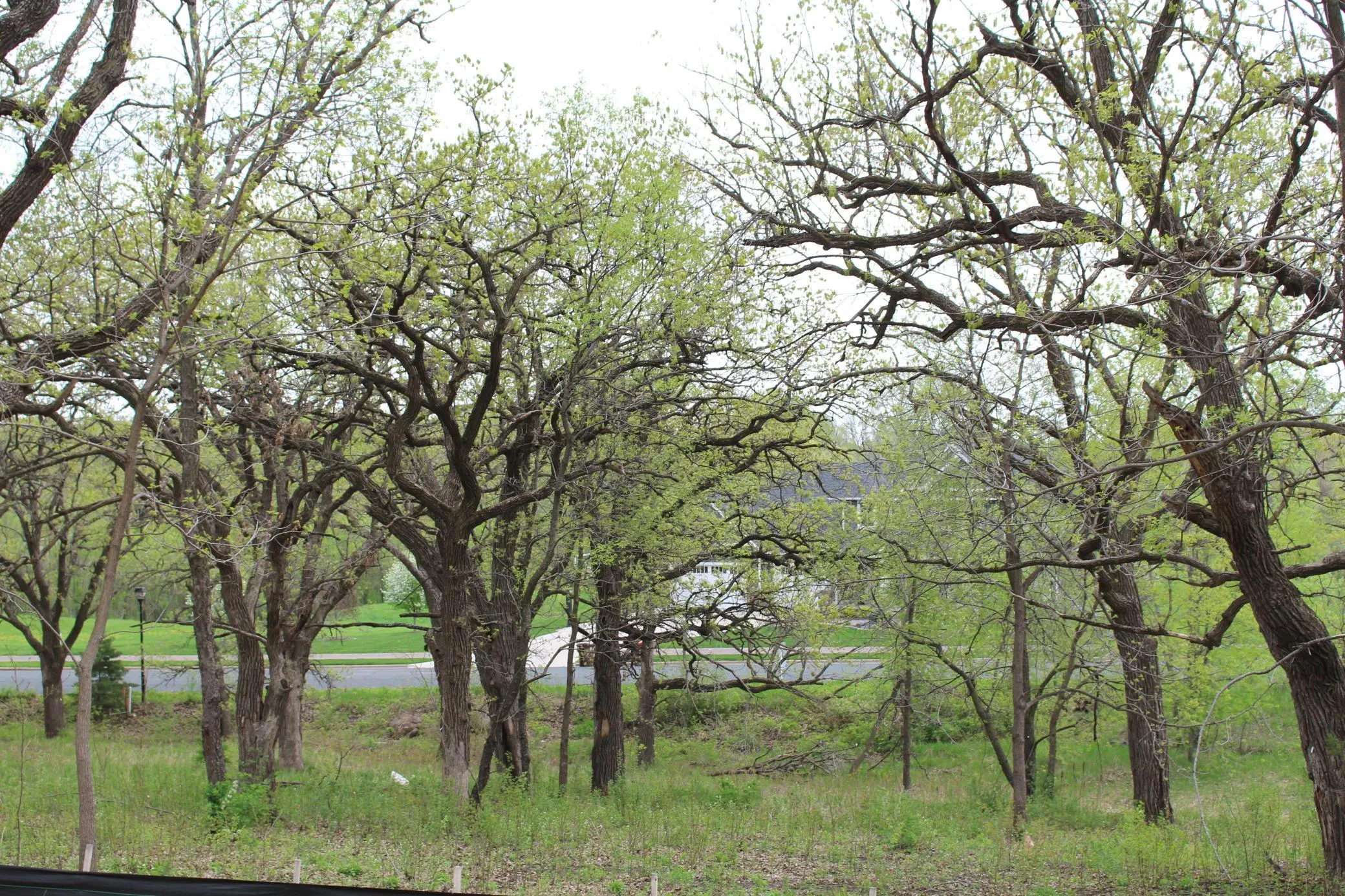 Photo 9 of 1730 River Shore Drive