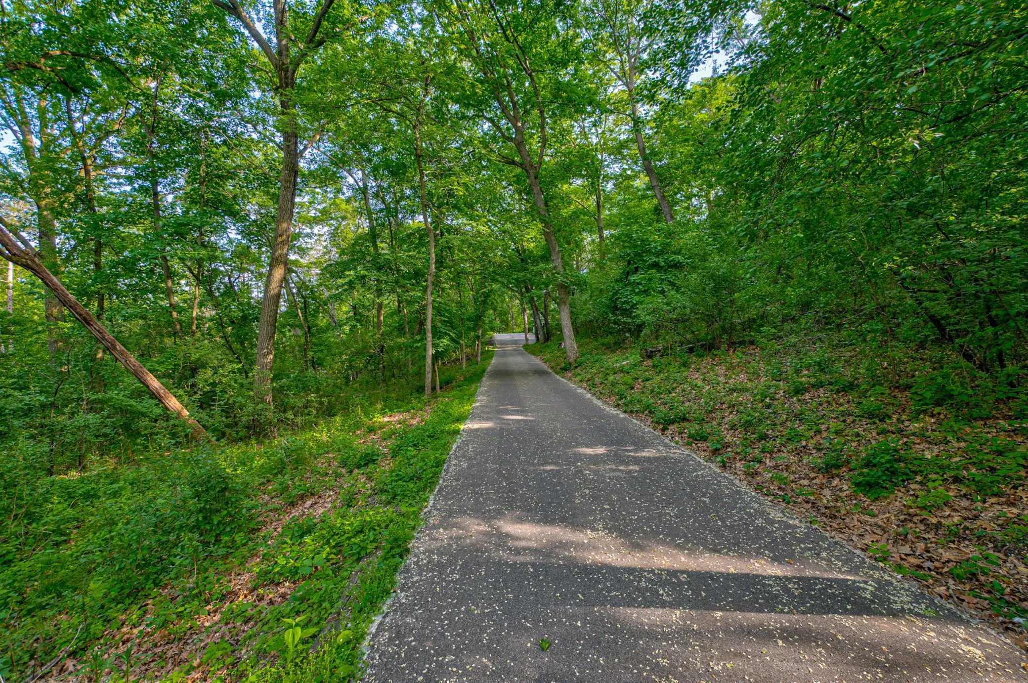 Photo 50 of 15511 Afton Hills S Drive