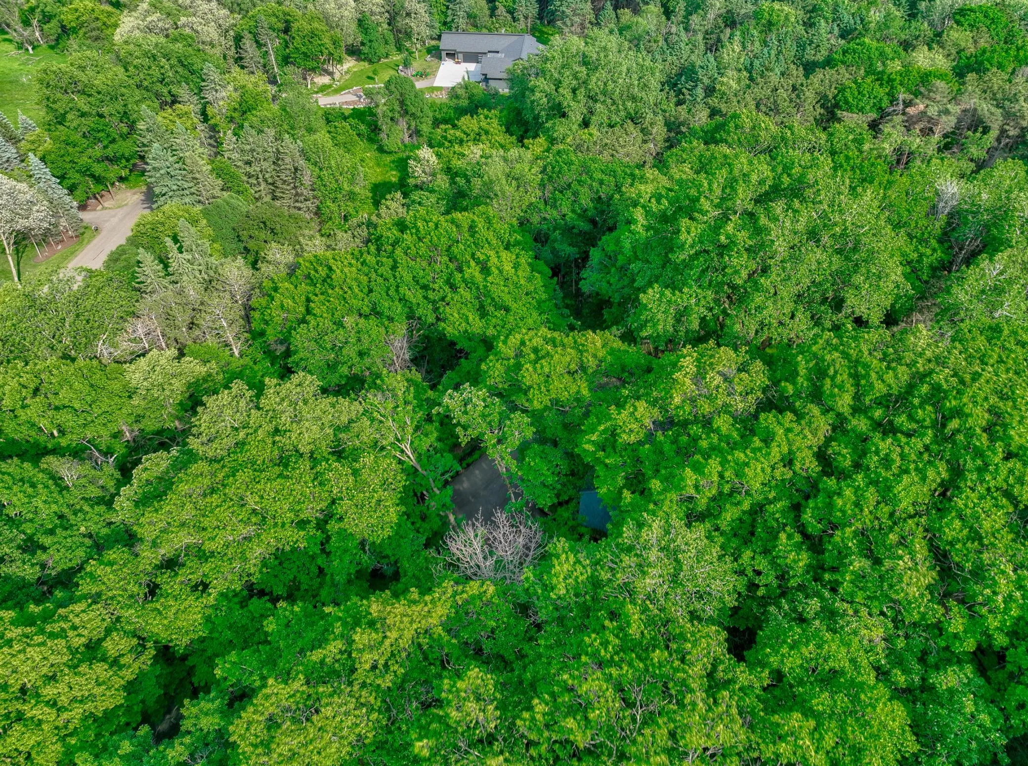 Photo 52 of 15511 Afton Hills S Drive