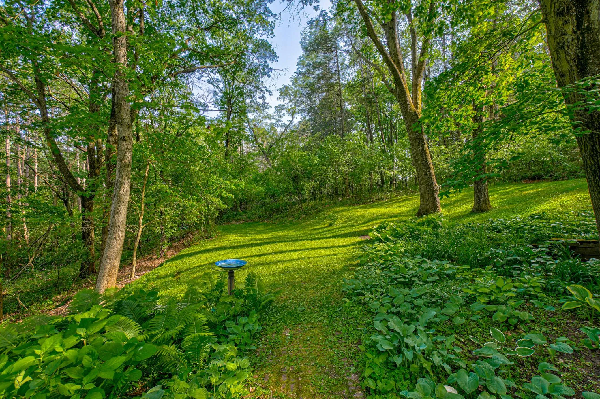 Photo 7 of 15511 Afton Hills S Drive