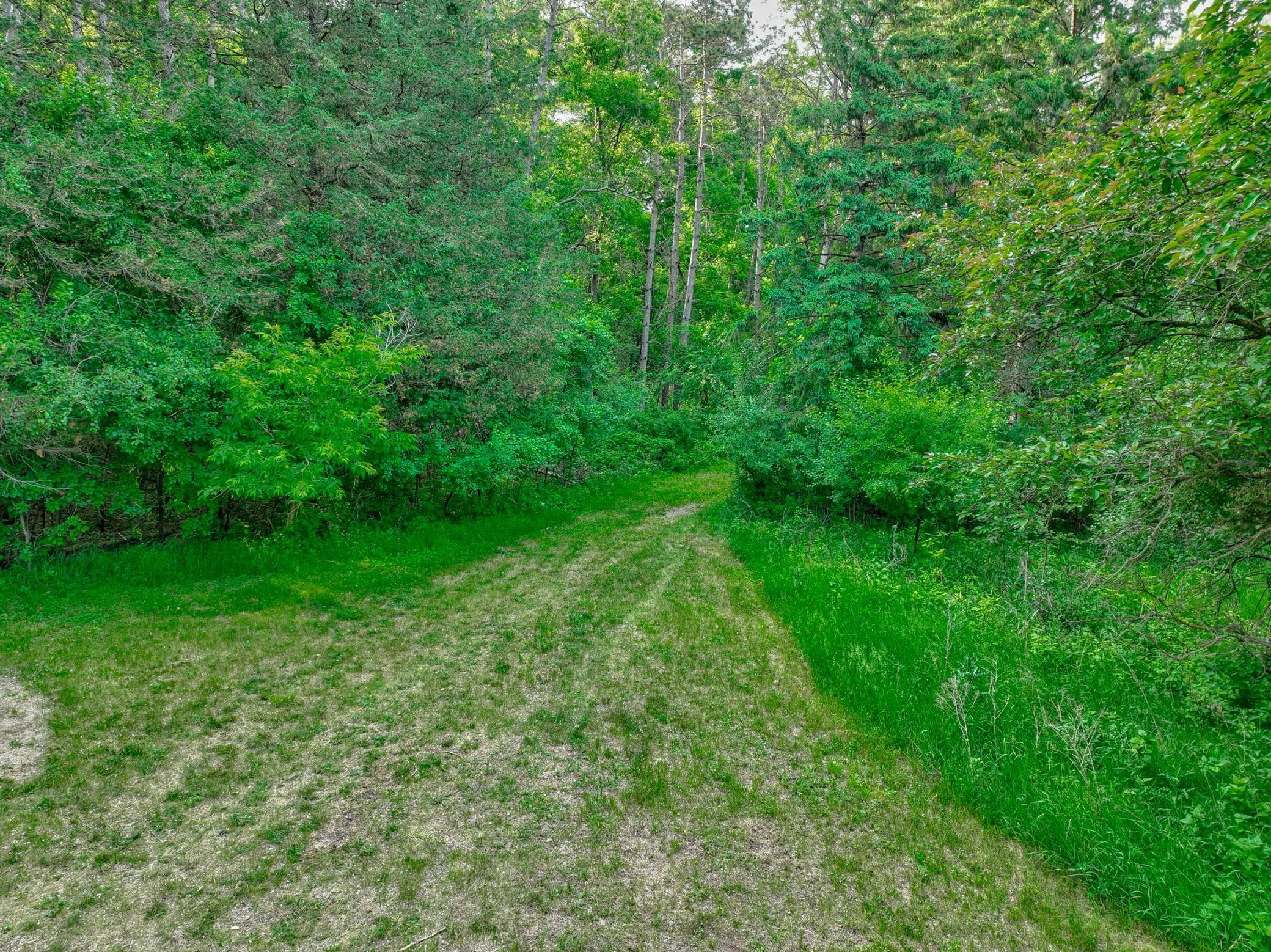 Photo 53 of 15511 Afton Hills S Drive
