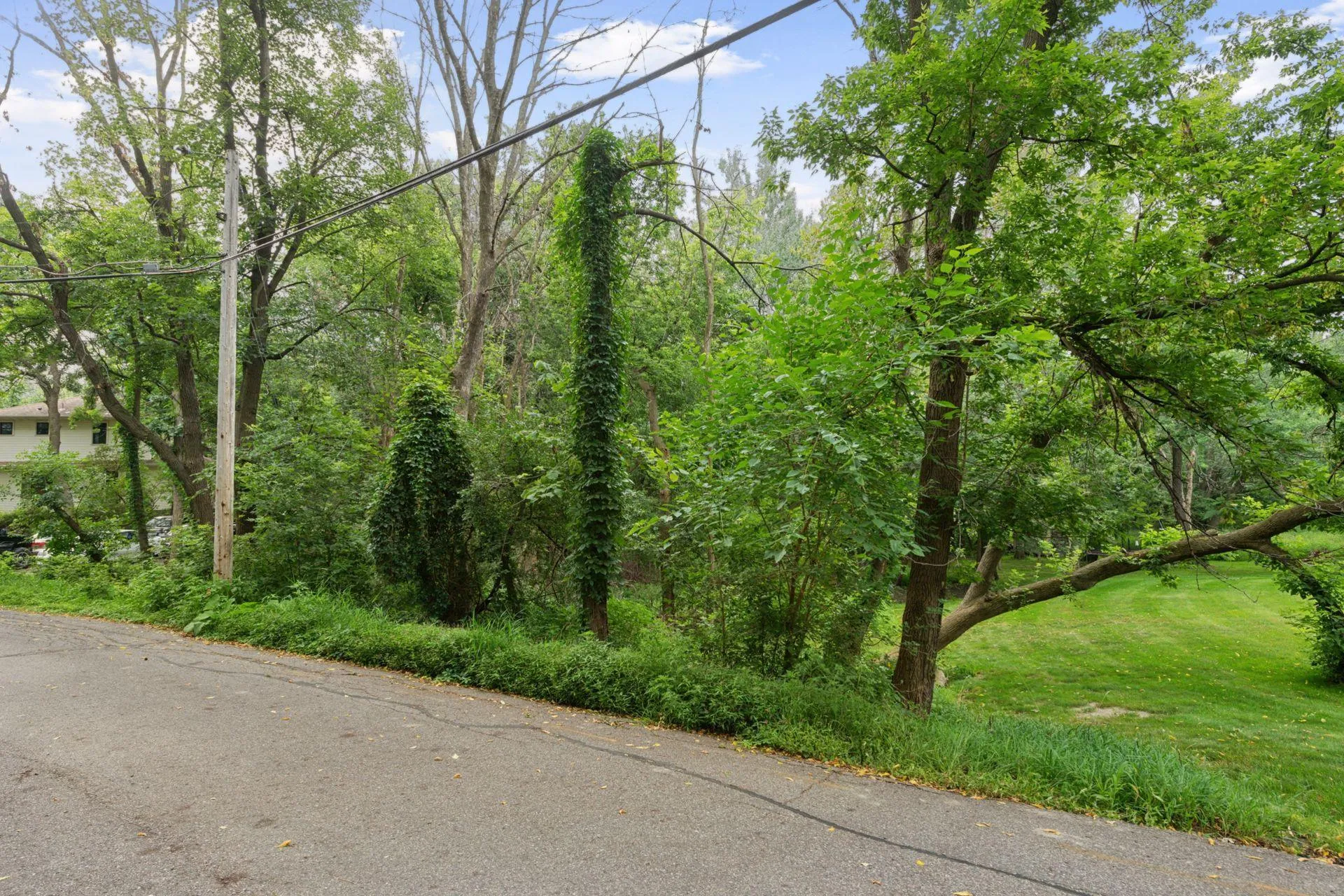 Photo 8 of 000 Park Drive
