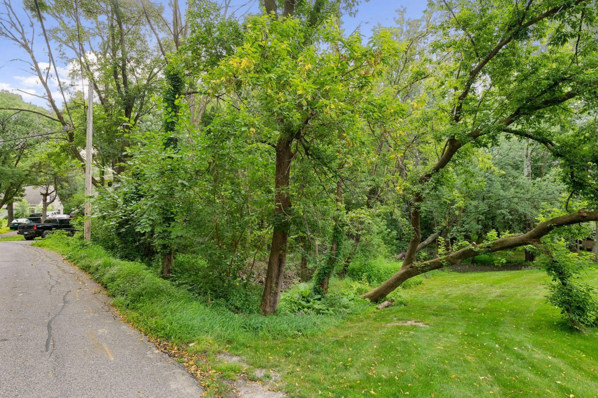 Photo 9 of 000 Park Drive