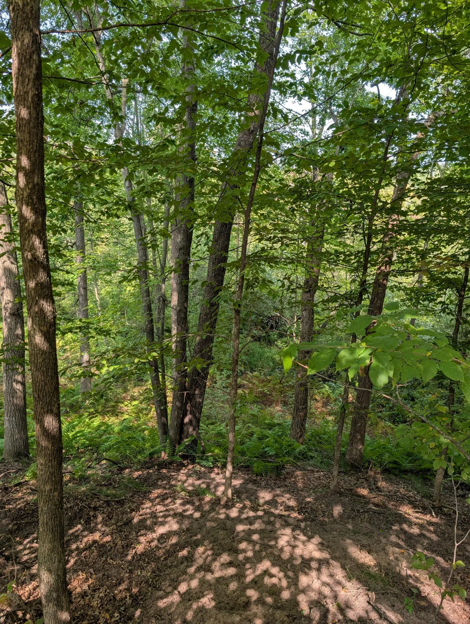 Photo 13 of Xxxx 217 Nw Avenue