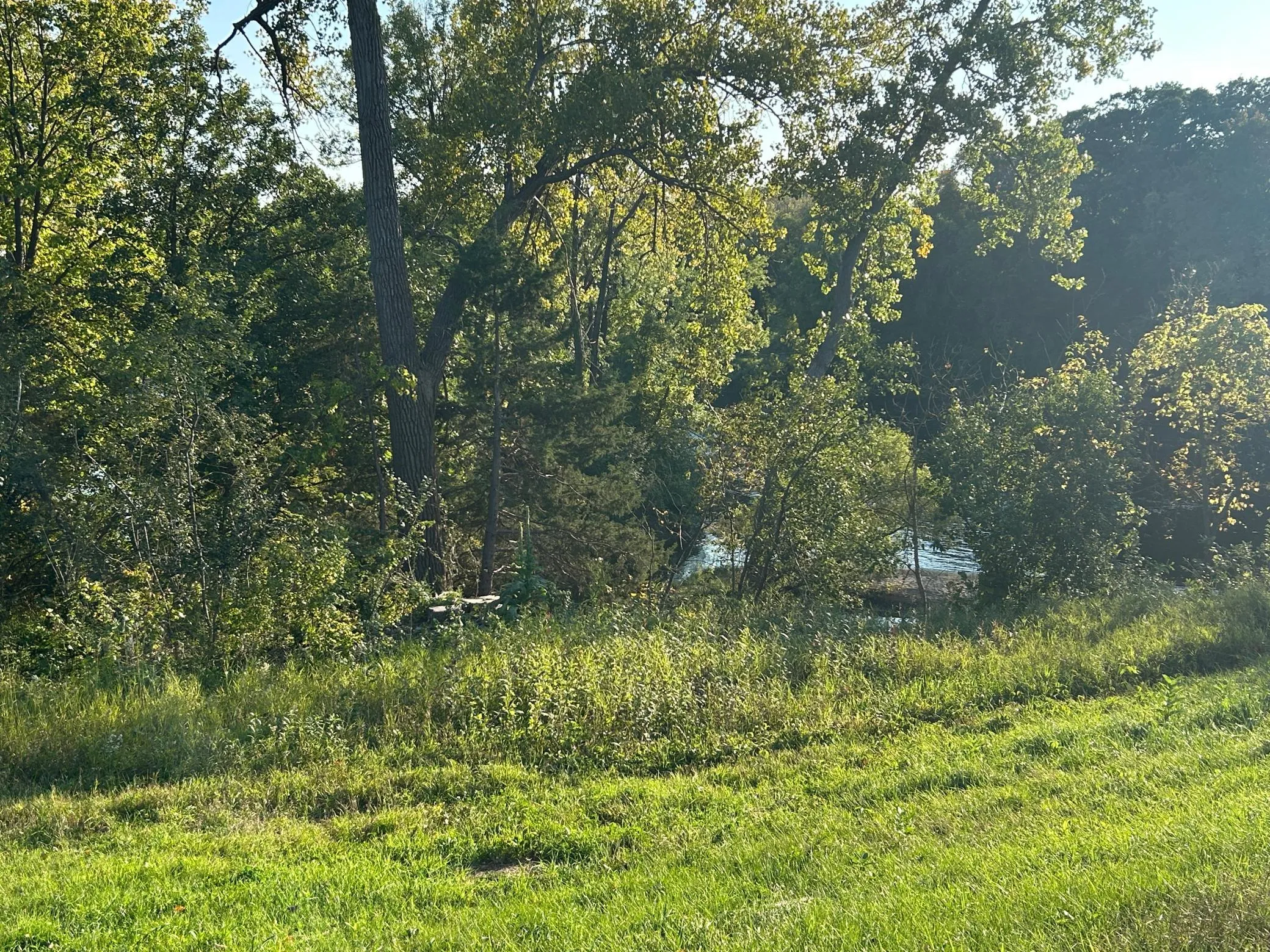 Photo 9 of 3518 Bridge Street