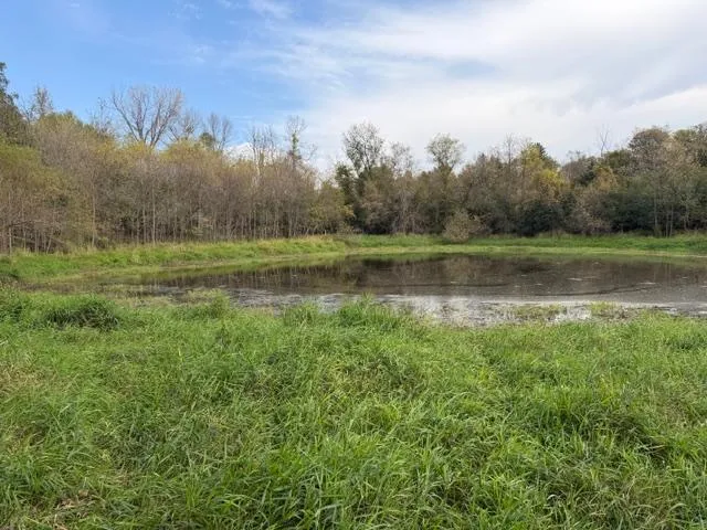 Photo 6 of Lot 6 220th Ave