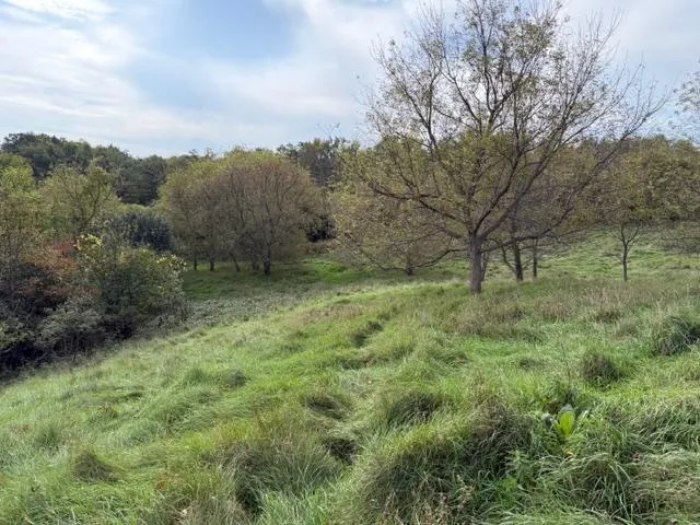 Photo 4 of Lot 6 220th Ave