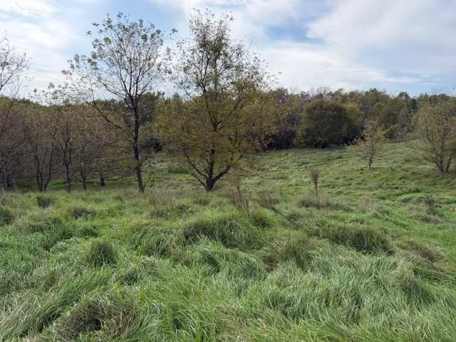 Photo 3 of Lot 6 220th Ave