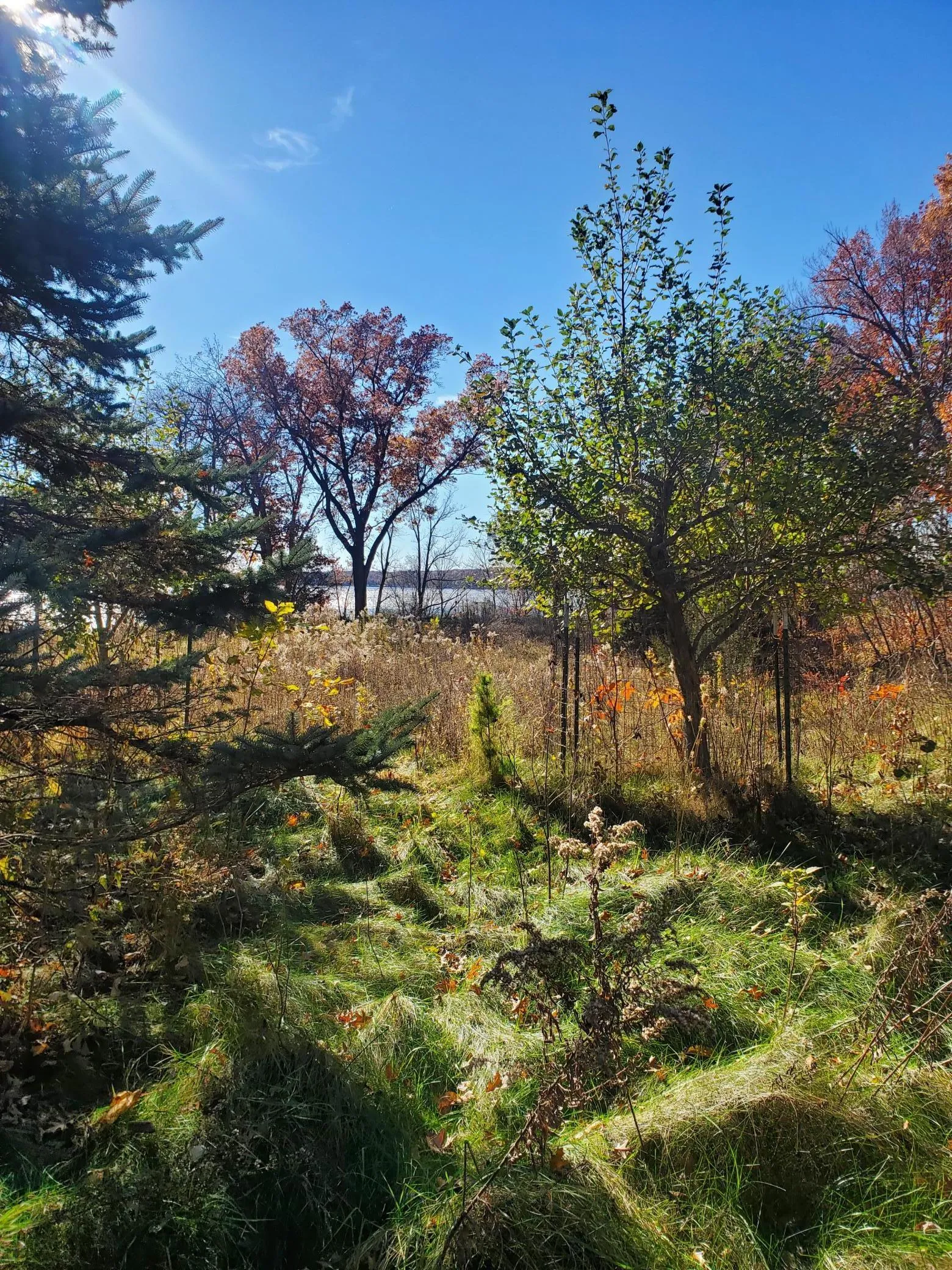 Photo 6 of Lot 3 E Cedar Lake Ct