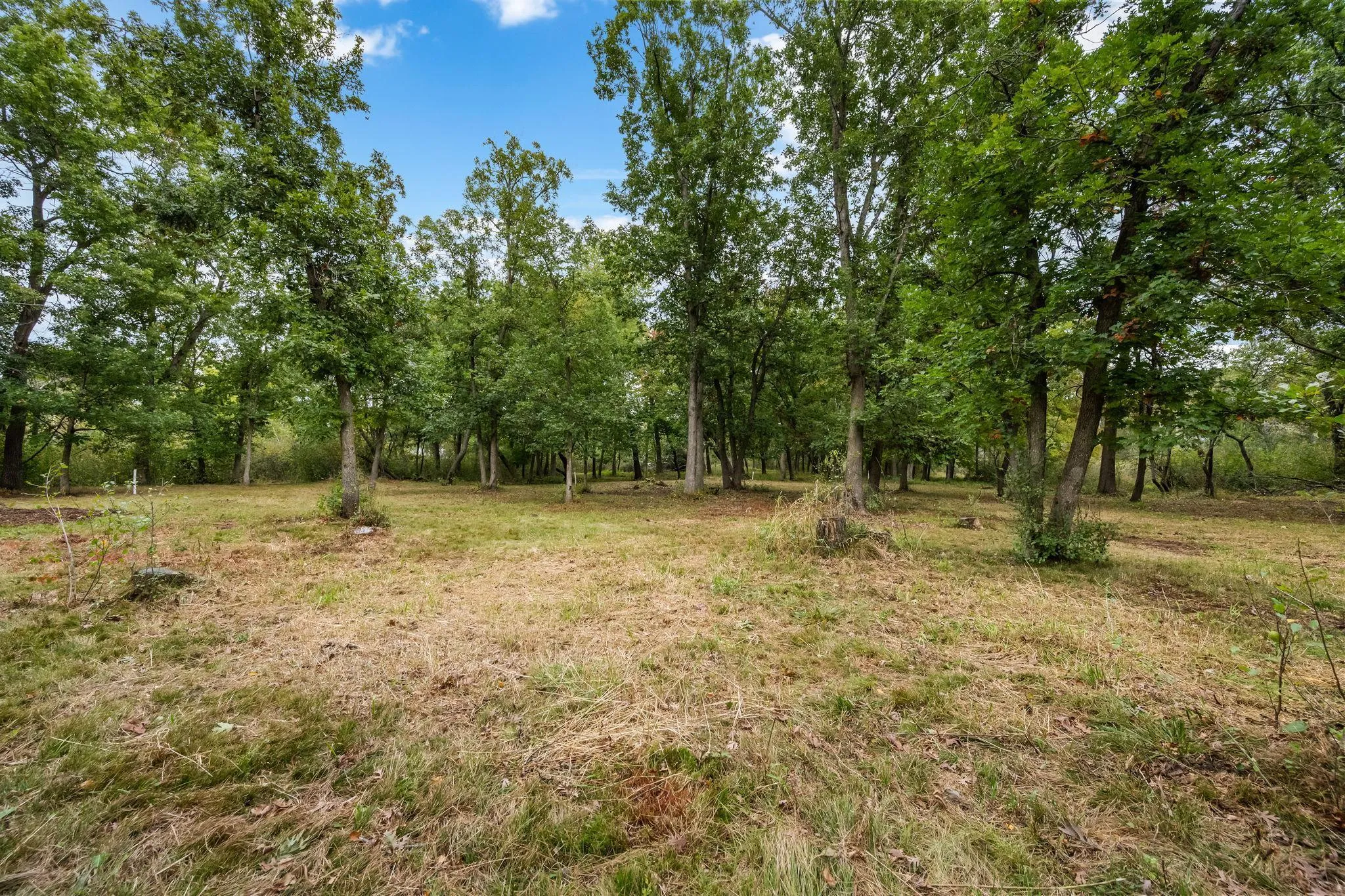 Photo 19 of 561x Heather Ridge Court