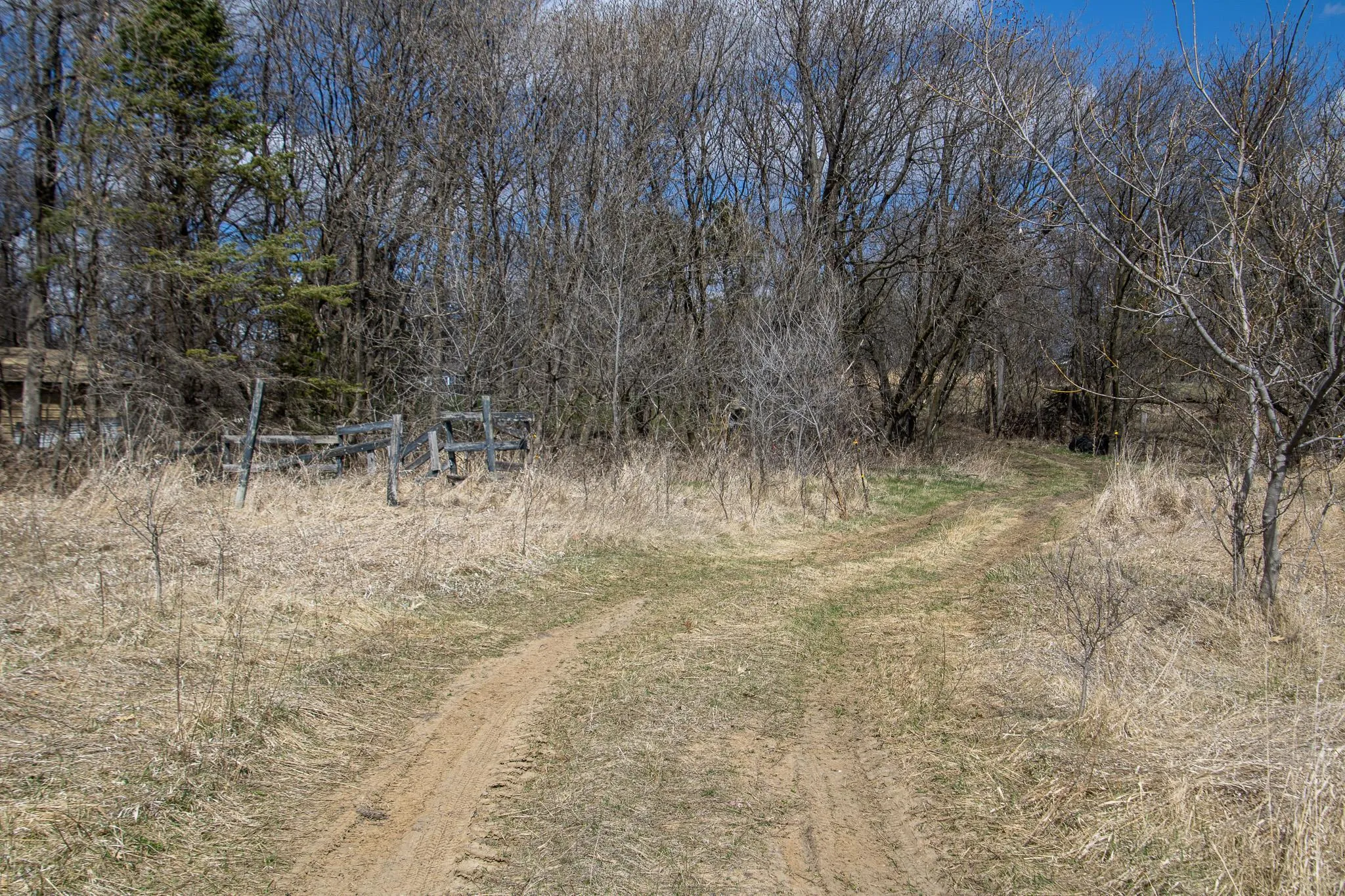 Photo 10 of Xxx Scandia Trail N