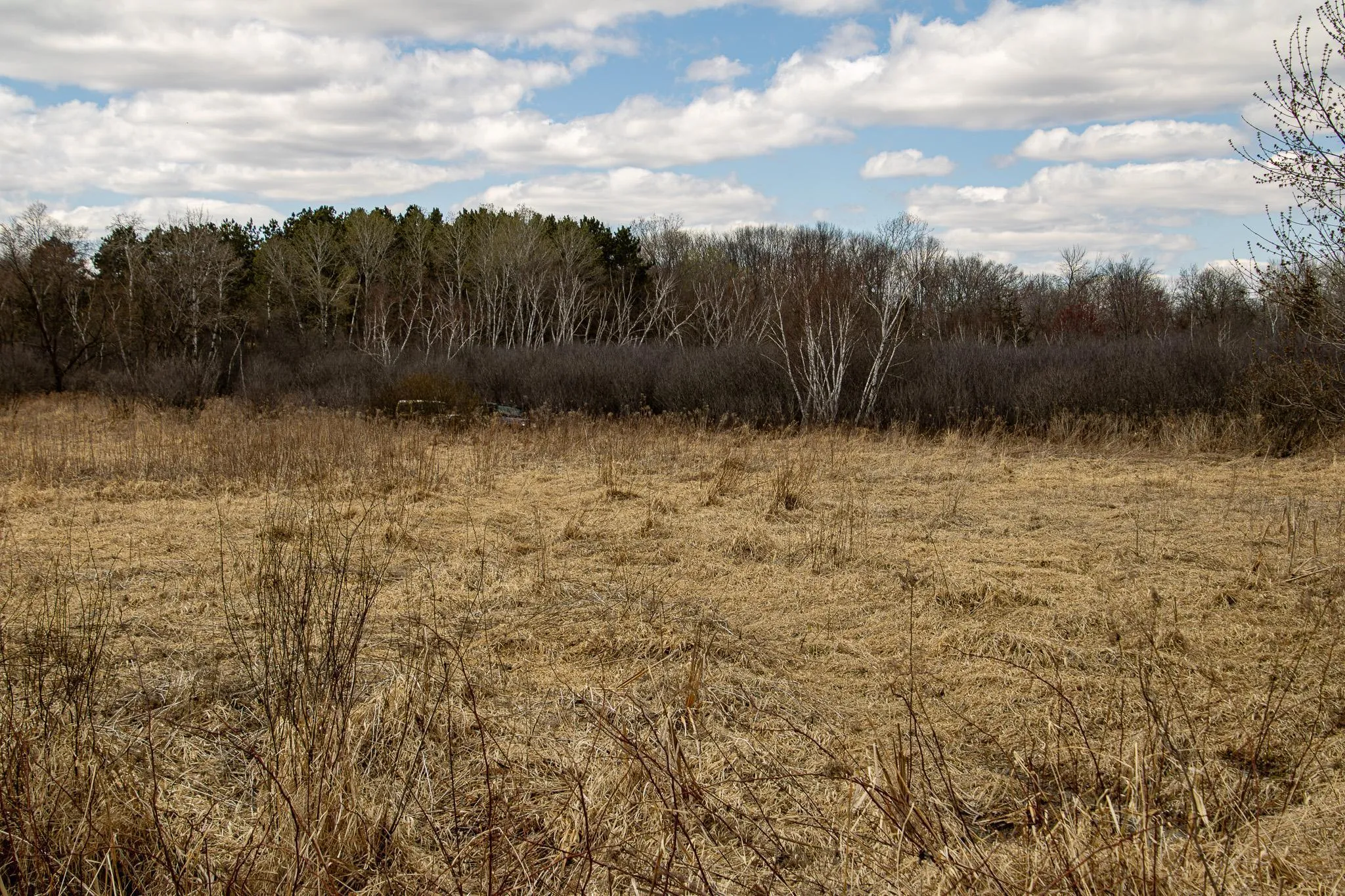 Photo 8 of Xxx Scandia Trail N