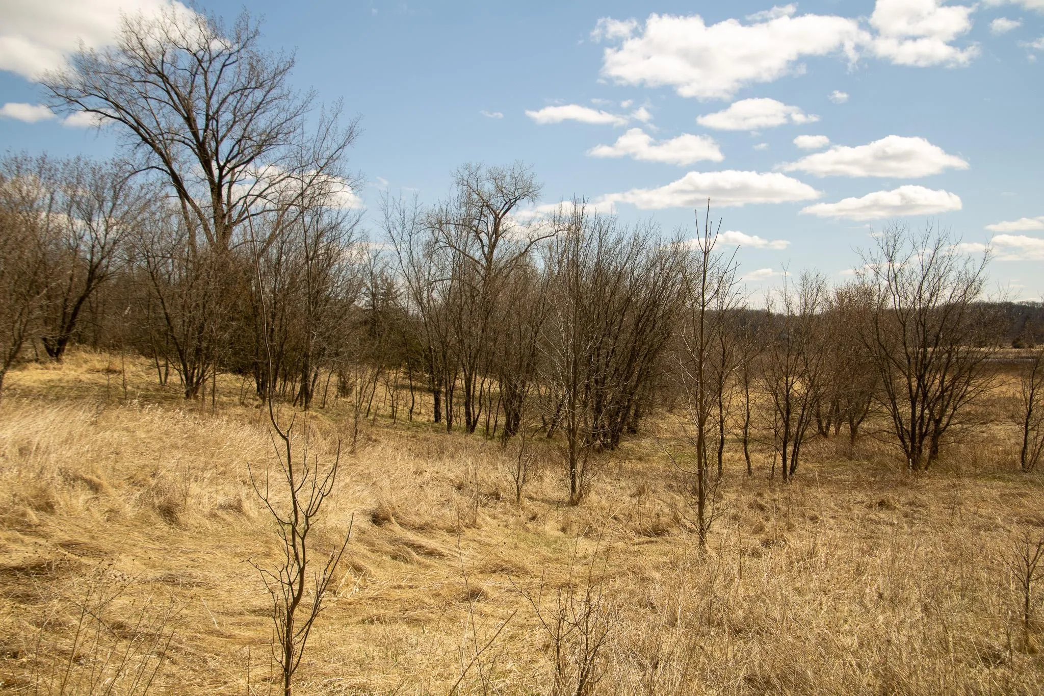 Photo 7 of Xxx Scandia Trail N
