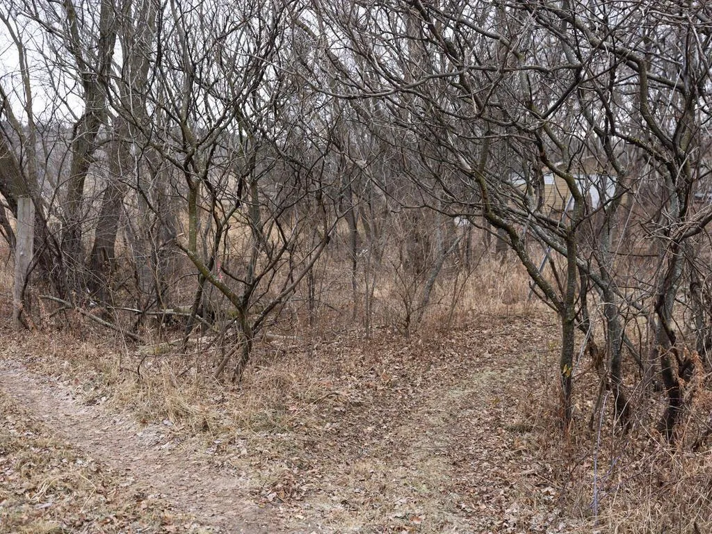 Photo 24 of Xxx Scandia Trail N