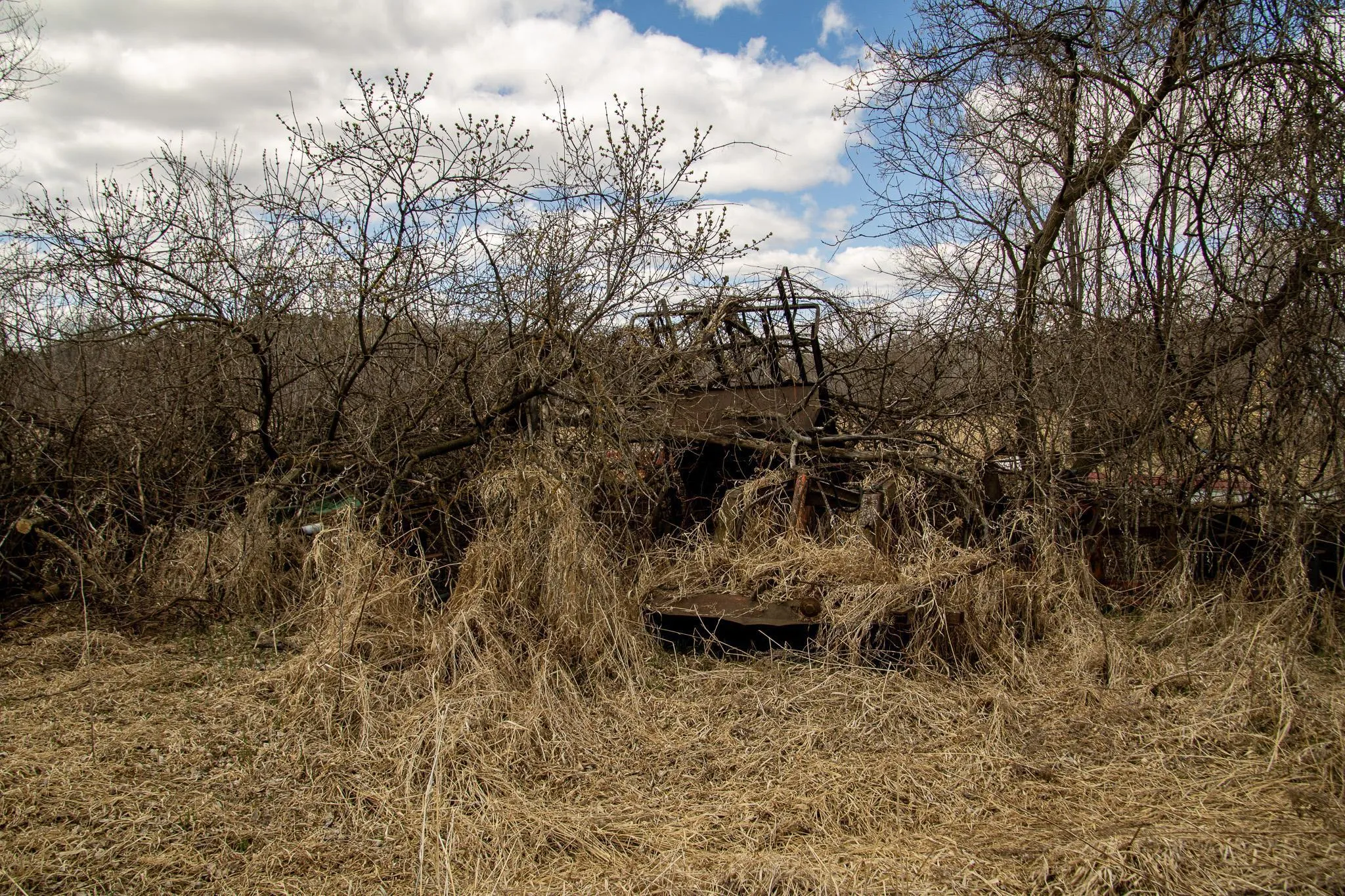 Photo 27 of Xxx Scandia Trail N
