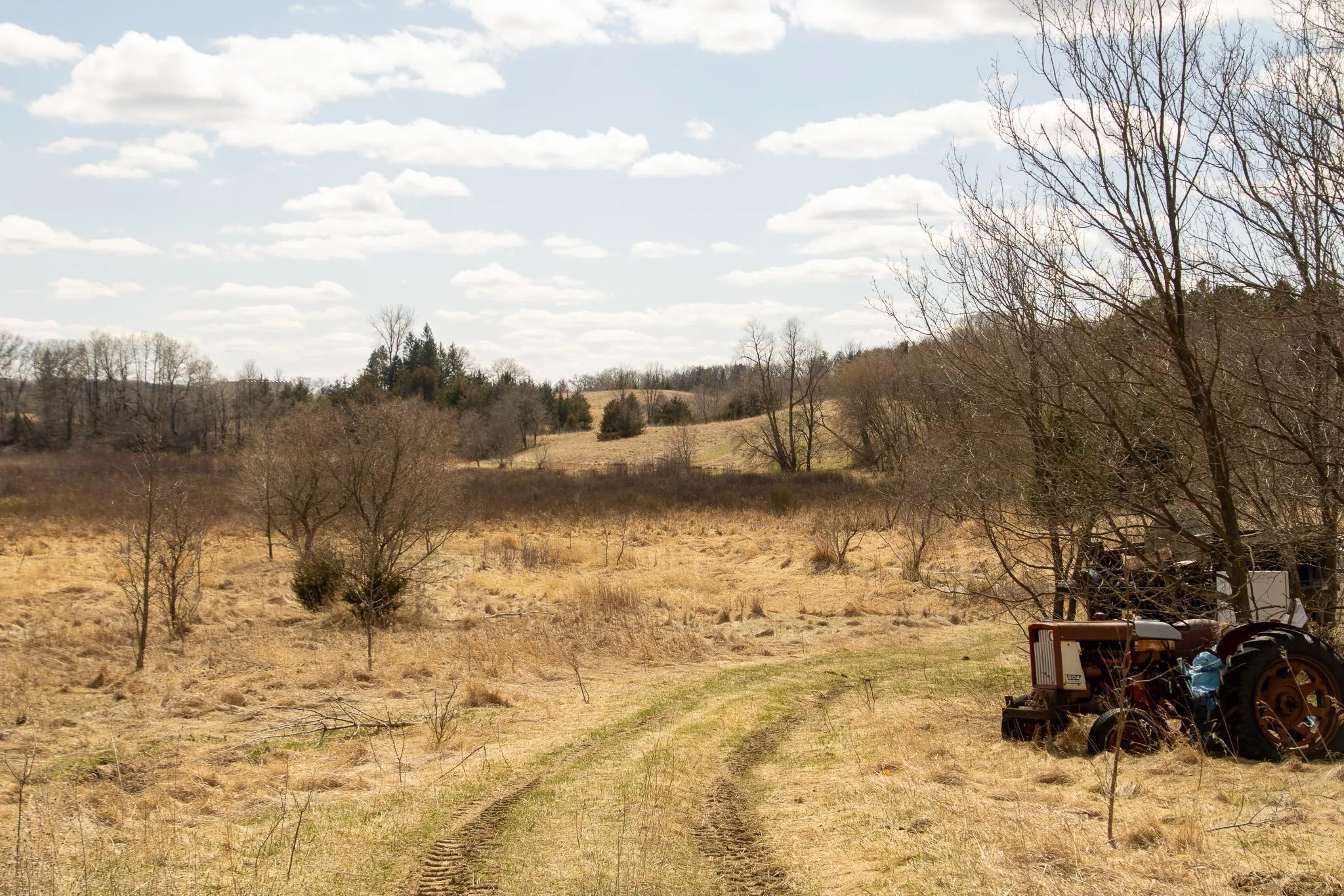 Photo 6 of Xxx Scandia Trail N