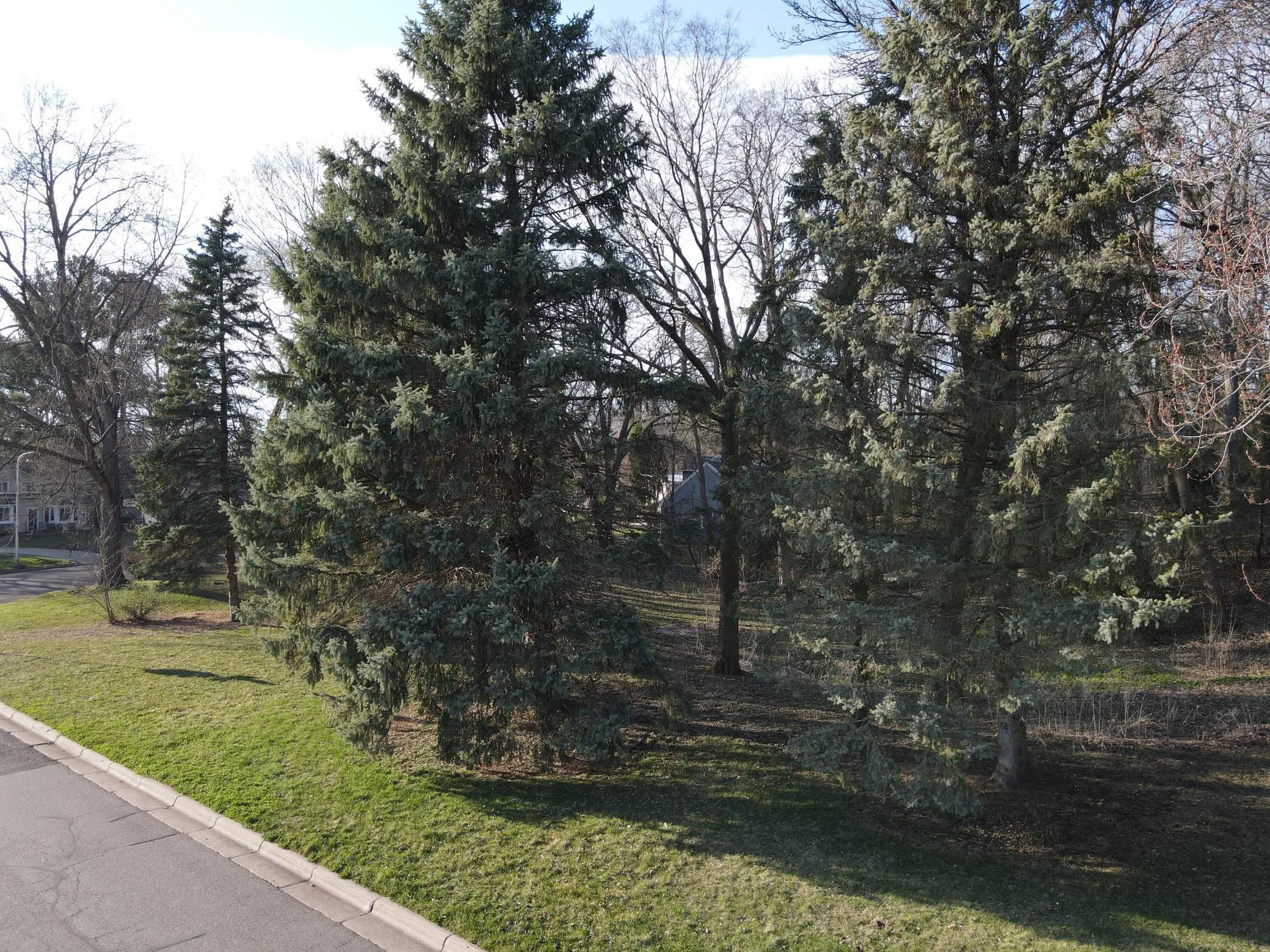 Photo 7 of 1167 Benton Street