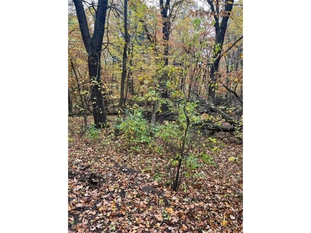 Photo 17 of Lot 3 Tiger Nw Street