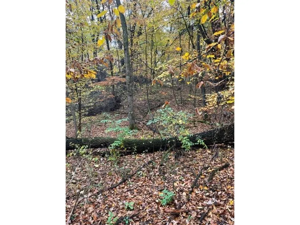 Photo 16 of Lot 3 Tiger Nw Street