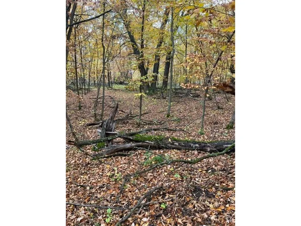 Photo 15 of Lot 3 Tiger Nw Street