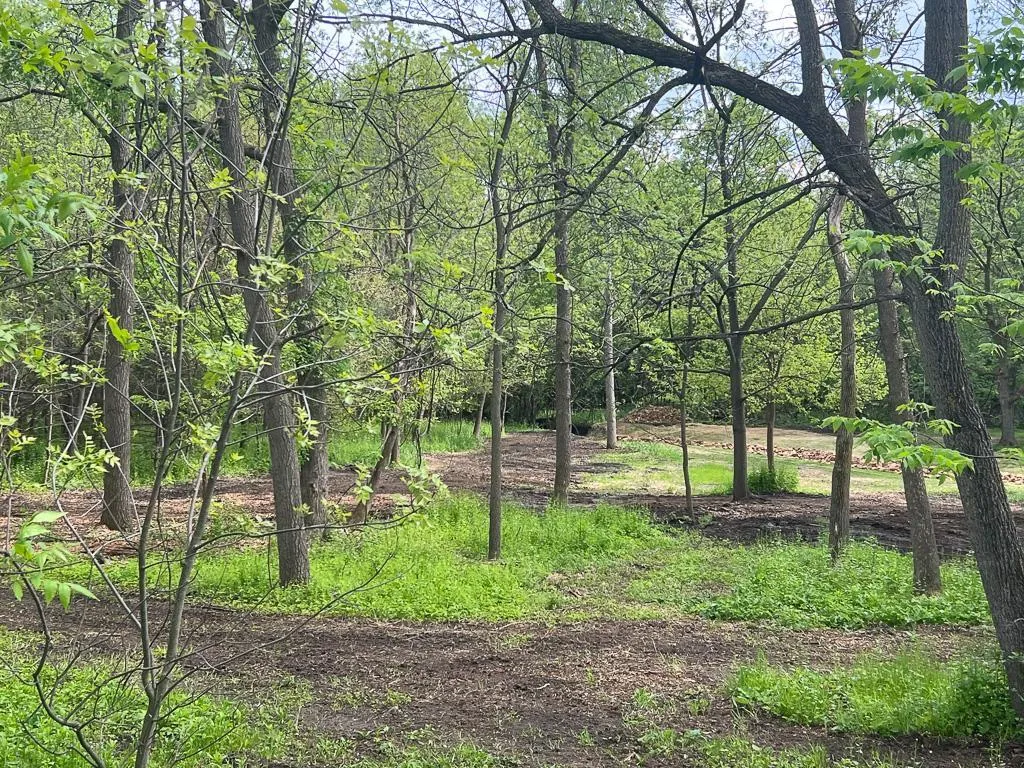 Photo 11 of 2195 Watertown Road