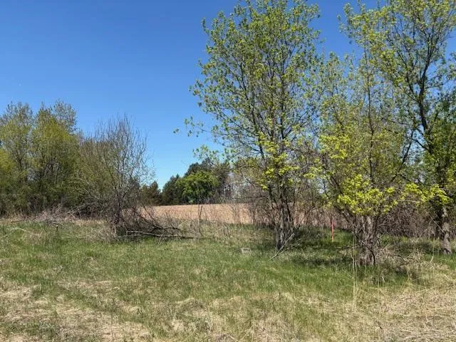 Photo 4 of 458 147th Avenue