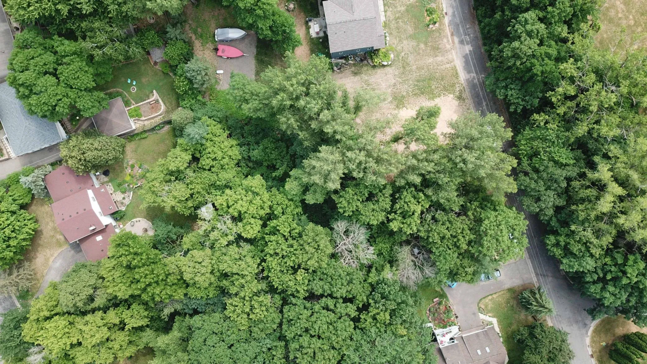 Photo 6 of 2113 Oakridge Street