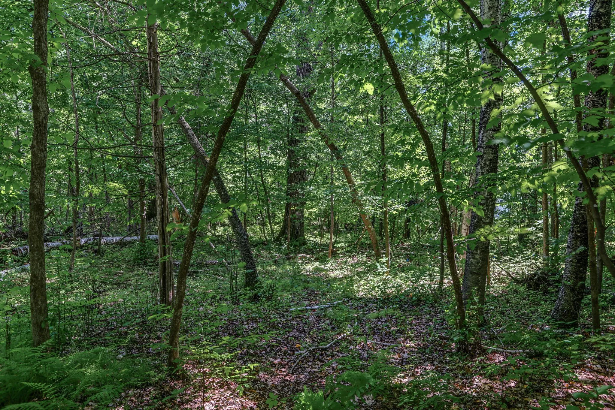 Photo 5 of 25xxx Itasca Avenue