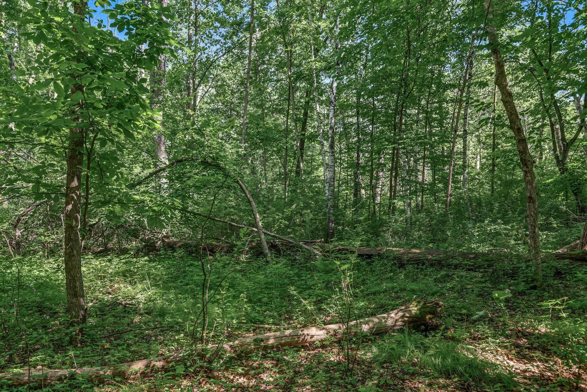 Photo 8 of 25xxx Itasca Avenue