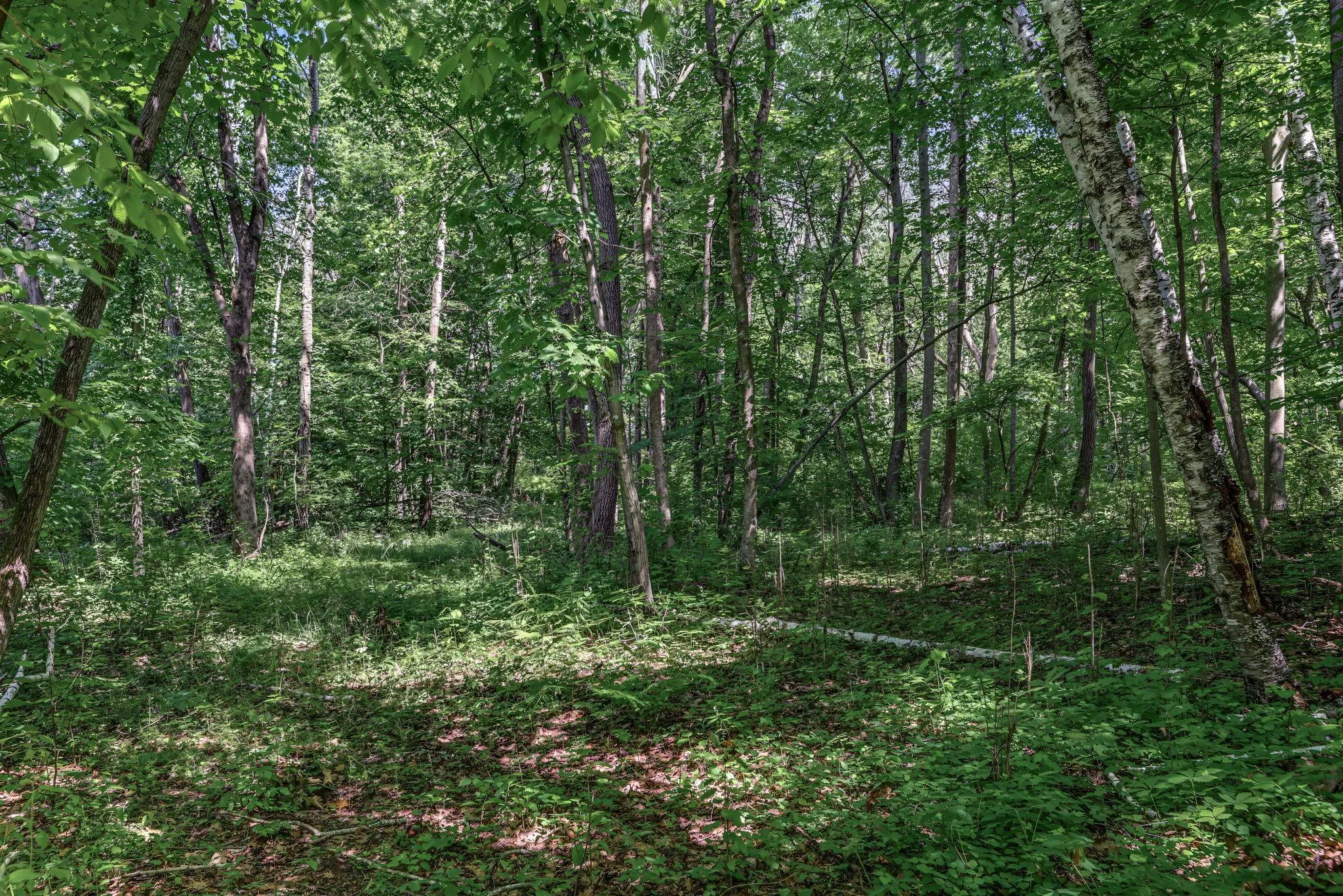 Photo 11 of 25xxx Itasca Avenue