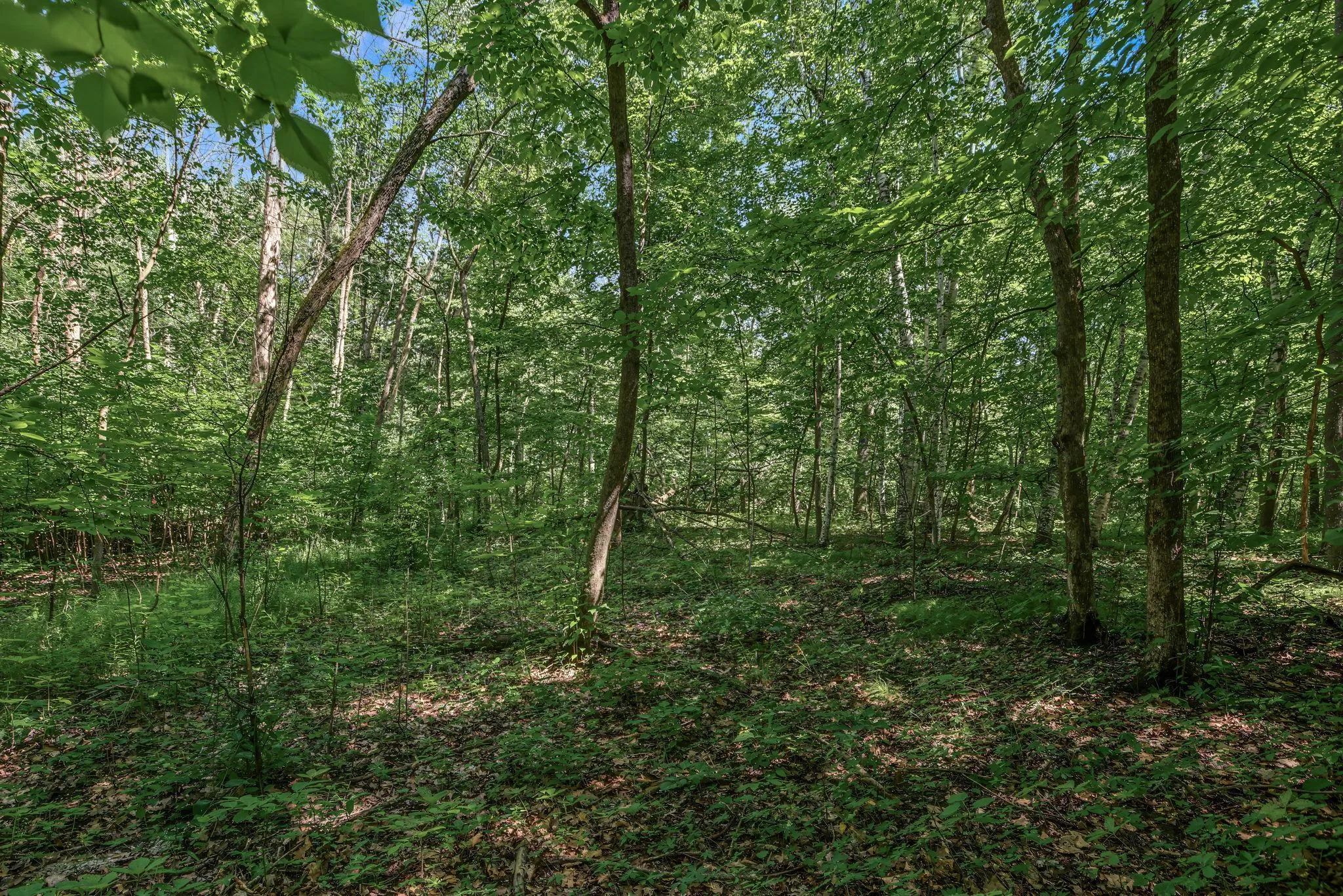 Photo 6 of 25xxx Itasca Avenue