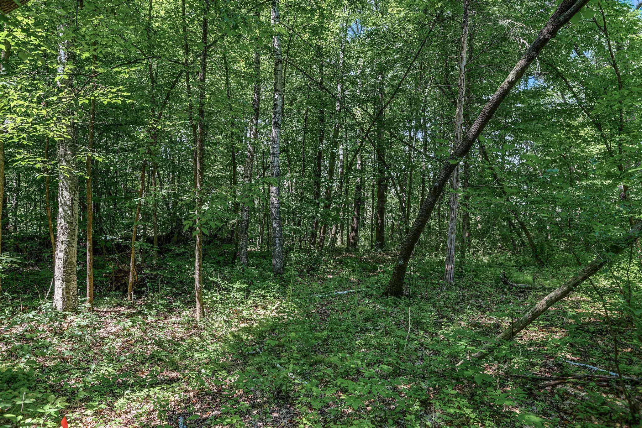 Photo 9 of 25xxx Itasca Avenue